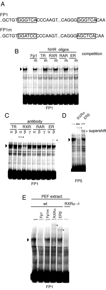 FIG.4.