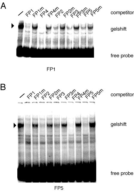 FIG. 5.