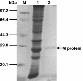 Fig. 2