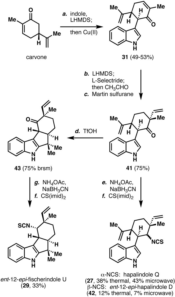 Scheme 7