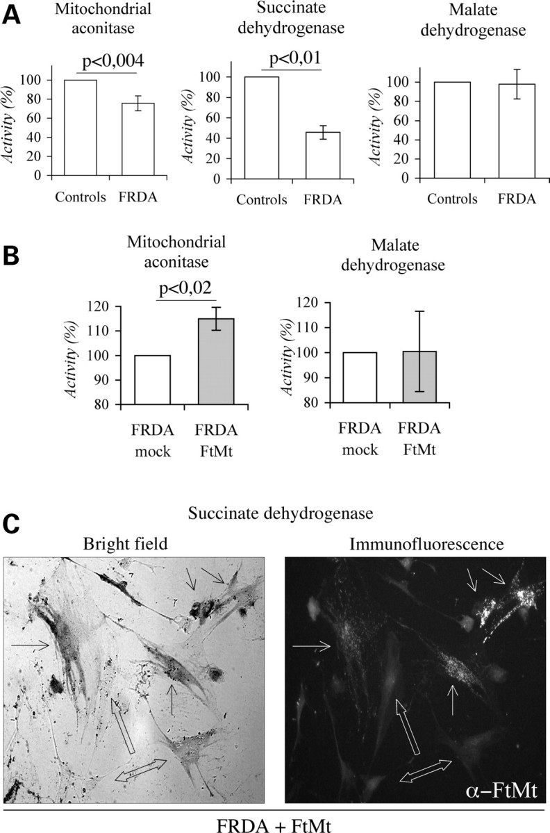 Figure 6.