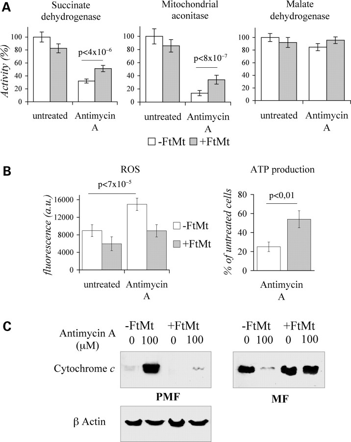 Figure 2.