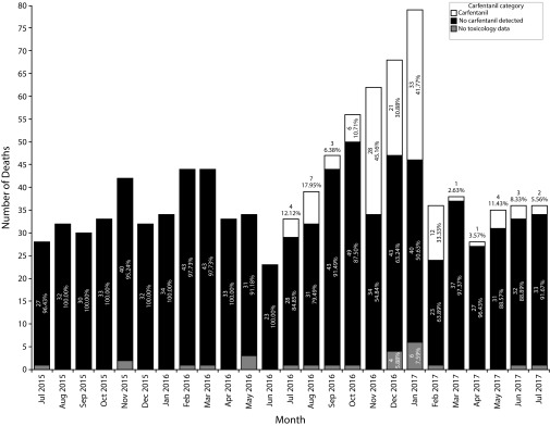 FIGURE 1—