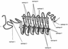 FIG. 6.