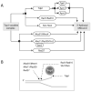 Fig. 8