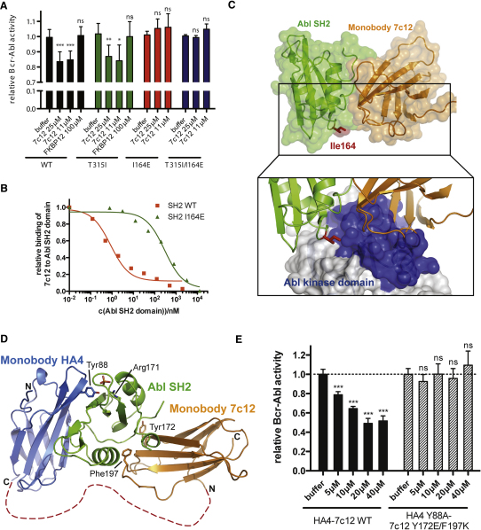 Figure 6