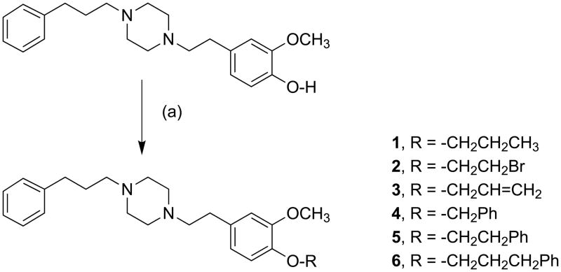 Scheme 1