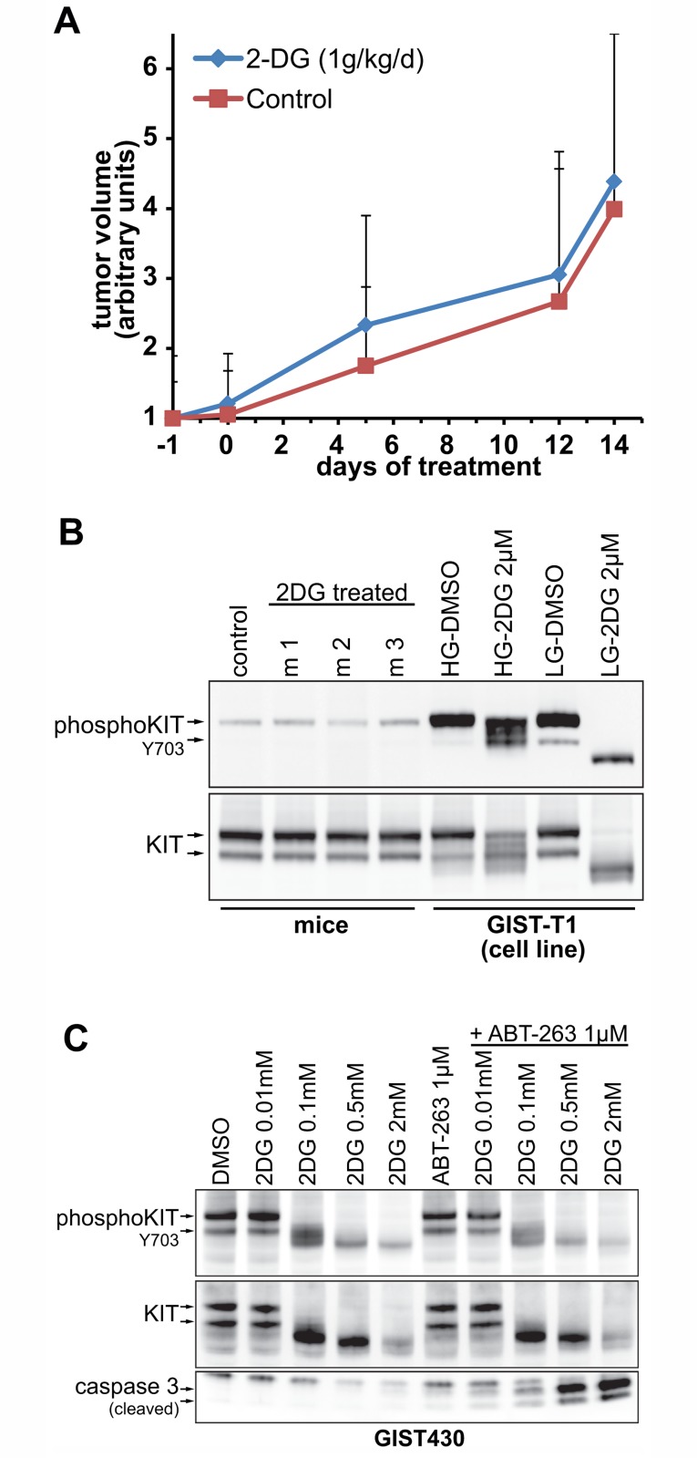 Fig 5