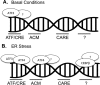 FIGURE 12.