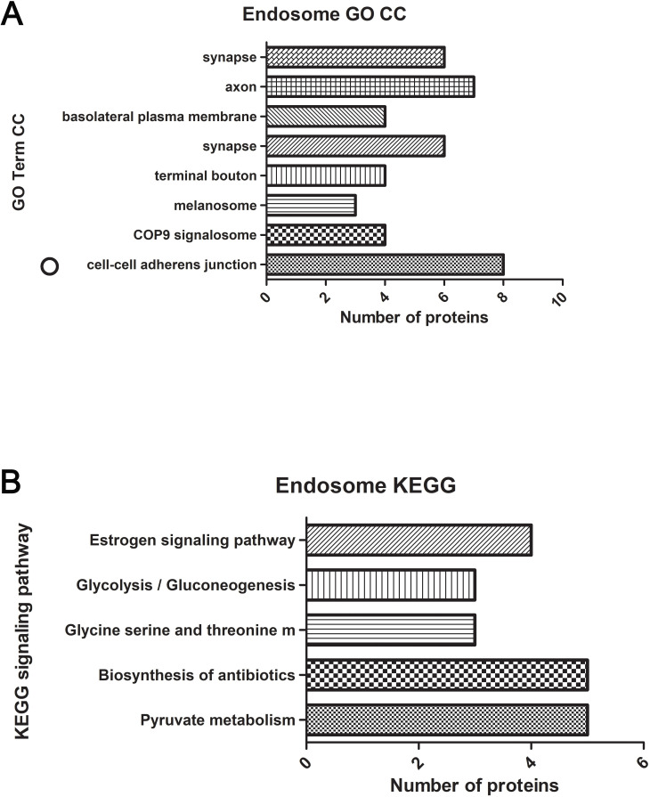 Fig 5