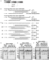 Figure EV3