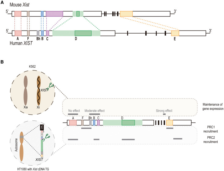 Figure 2.