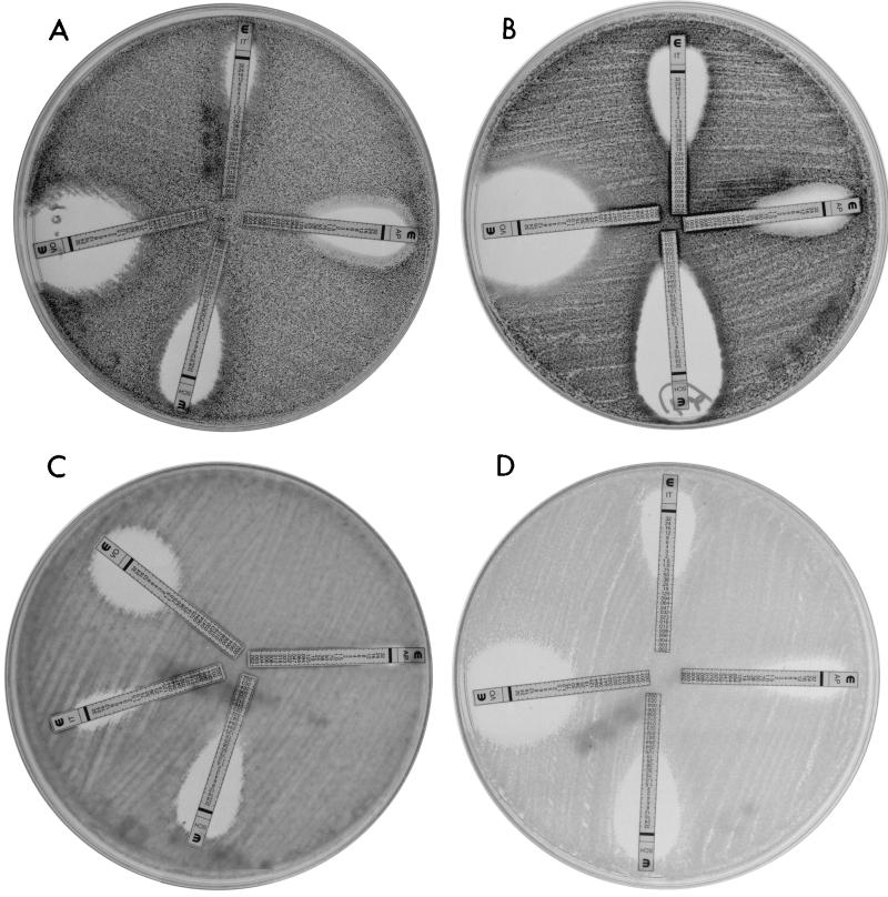 FIG. 1.