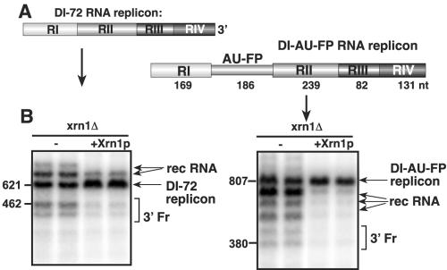 FIG. 9.