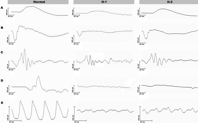 Figure  4. 