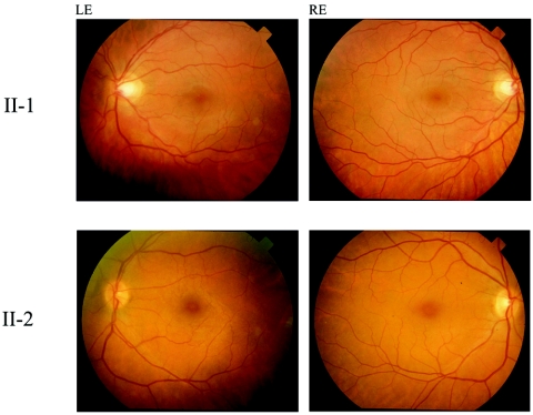 Figure  3. 