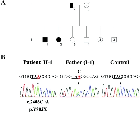 Figure  1. 