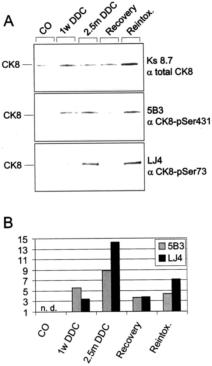 Figure 9.