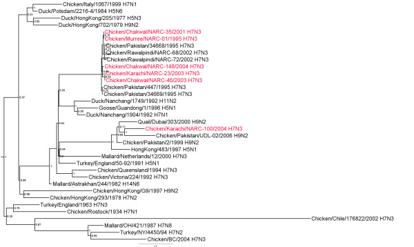 Figure 5