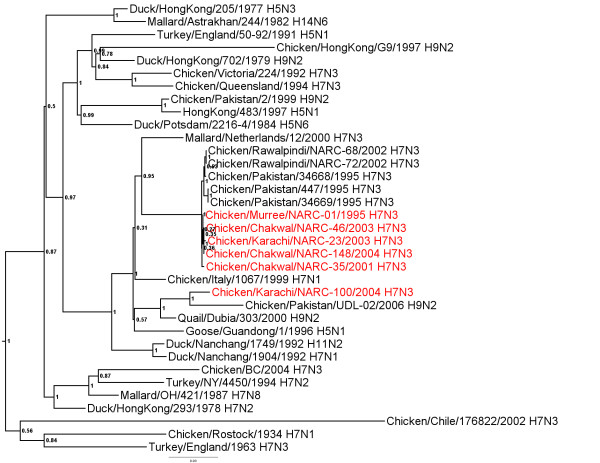 Figure 6