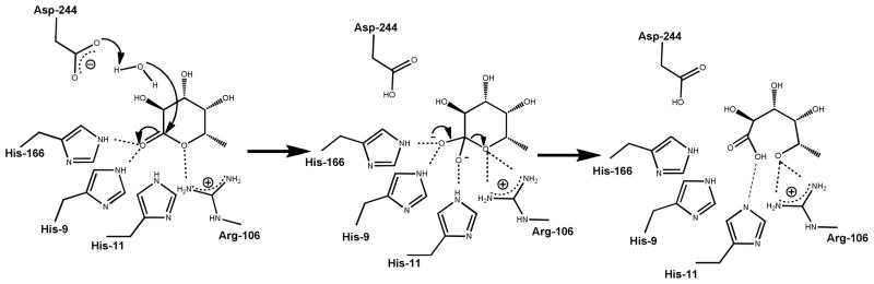 Scheme 3