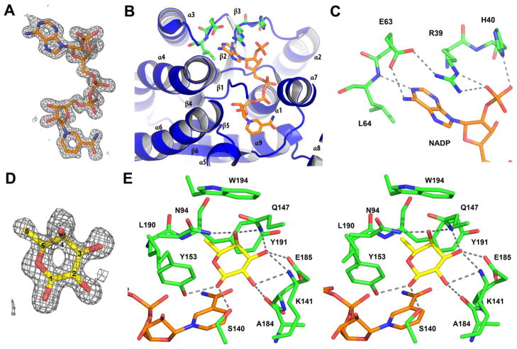 Figure 9