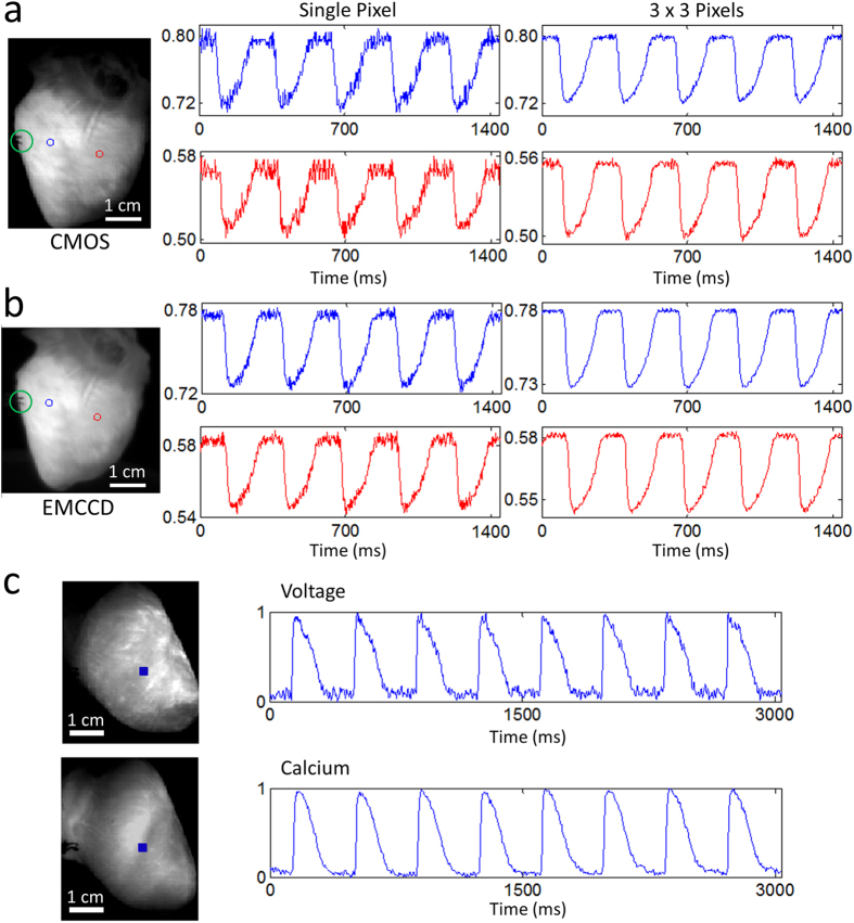 Figure 9