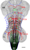 Figure 9