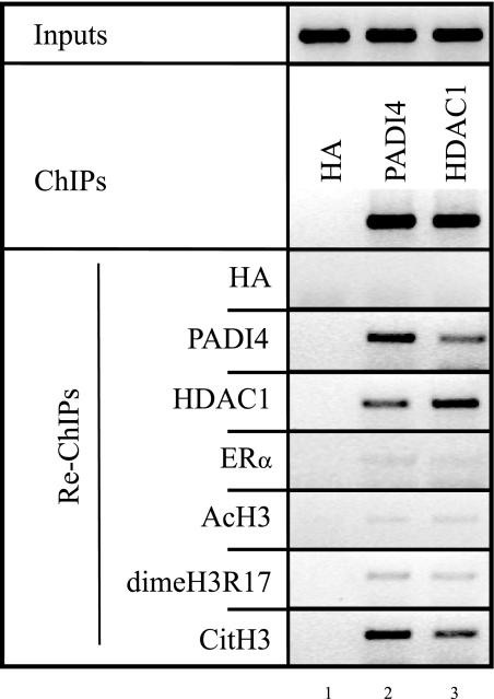 FIG. 5.