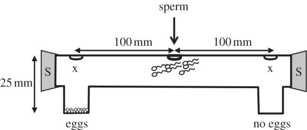 Figure 1.