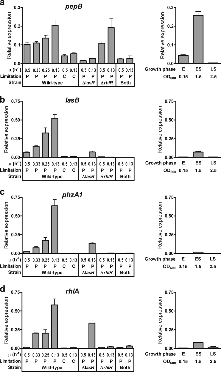 FIG 3