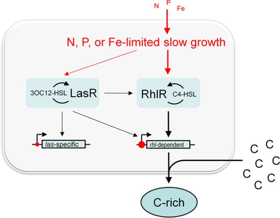 FIG 5