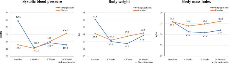 Fig. 4