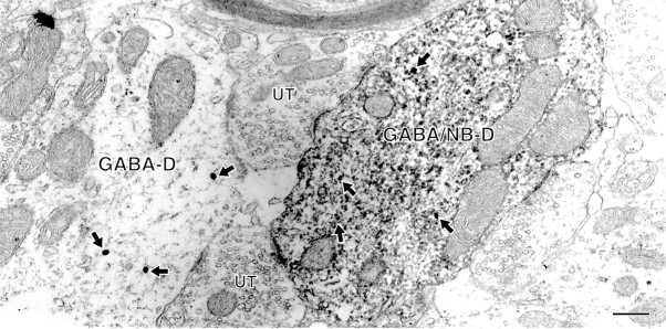 Fig. 10.