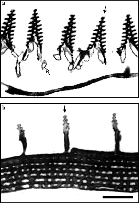 Fig. 4