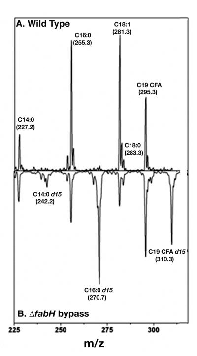 Fig. 9