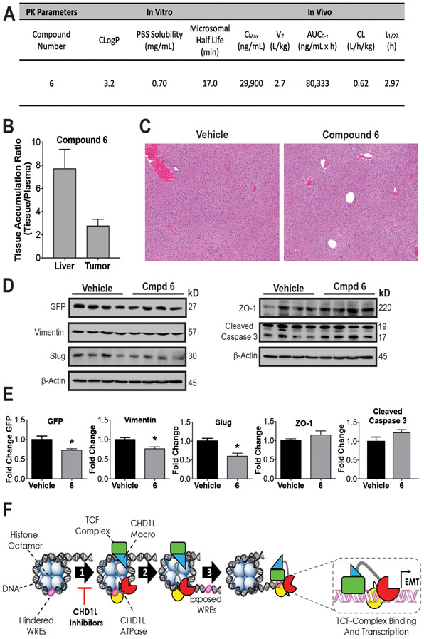 Figure 6: