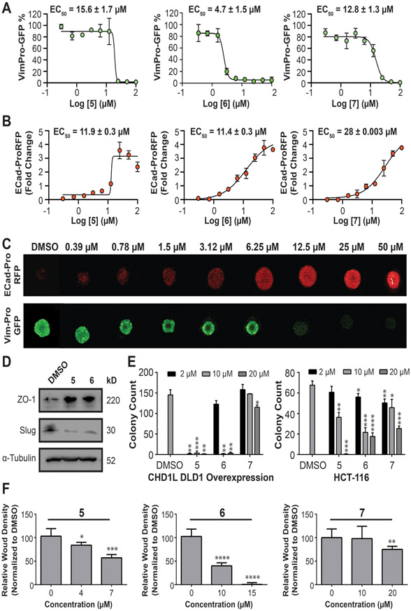 Figure 4: