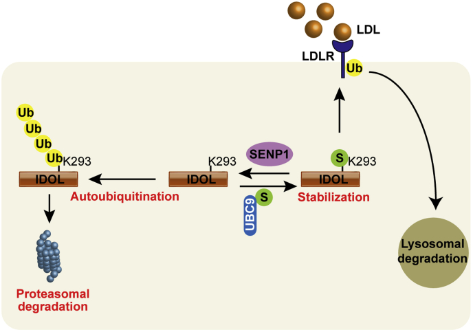 Figure 6