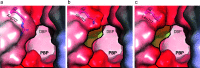FIG 5