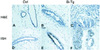 Fig 3.