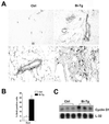 Fig 4.