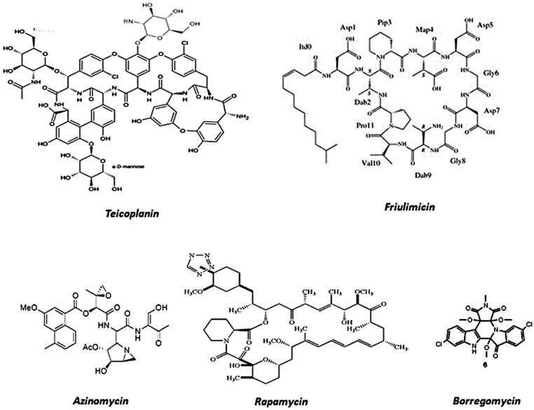 FIGURE 2