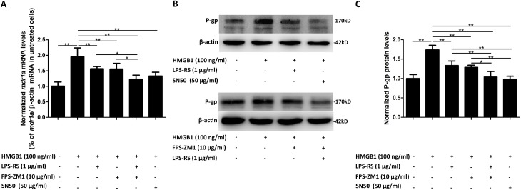 Fig 6