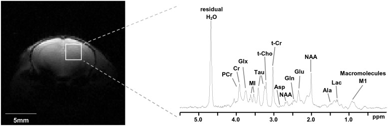 Fig 5