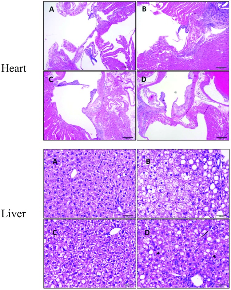 Fig 7