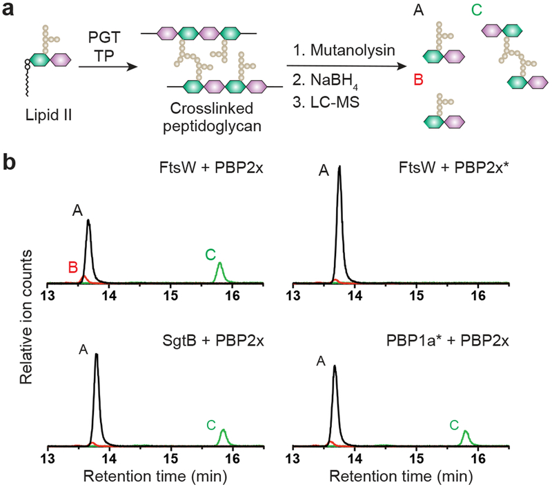 Figure 3: