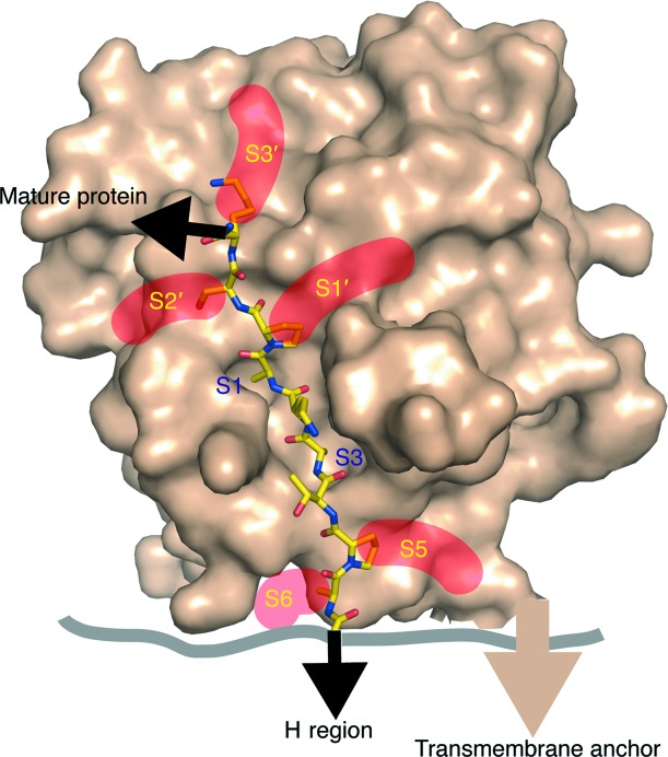 Figure 7