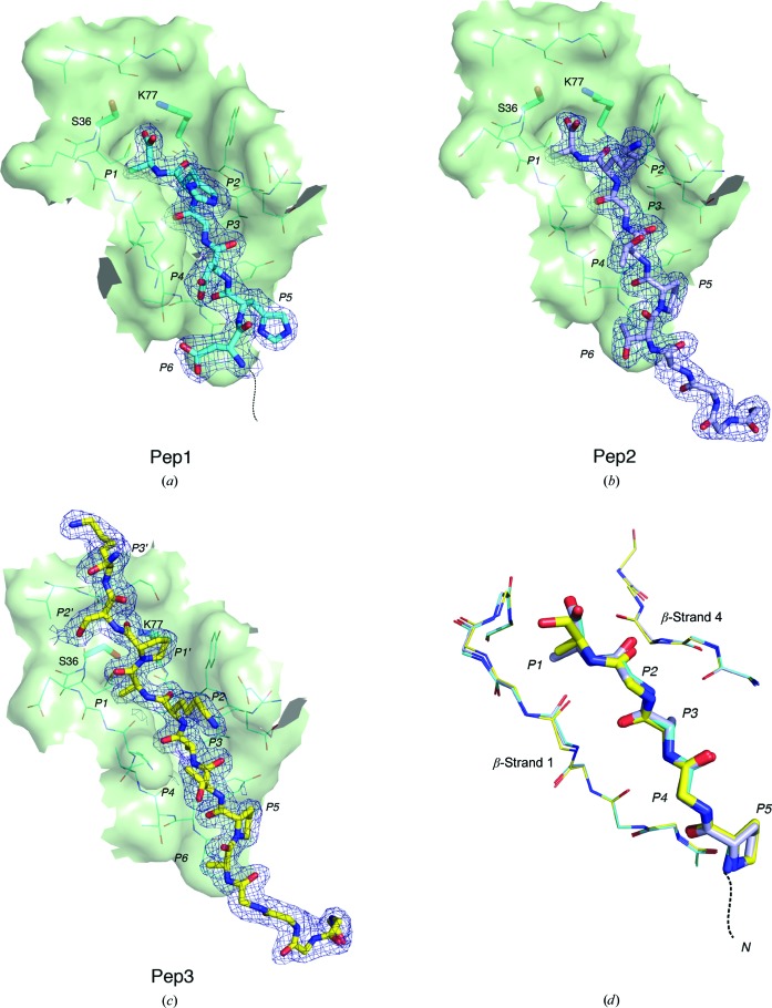 Figure 4