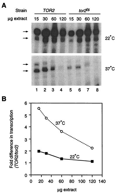 FIG. 6